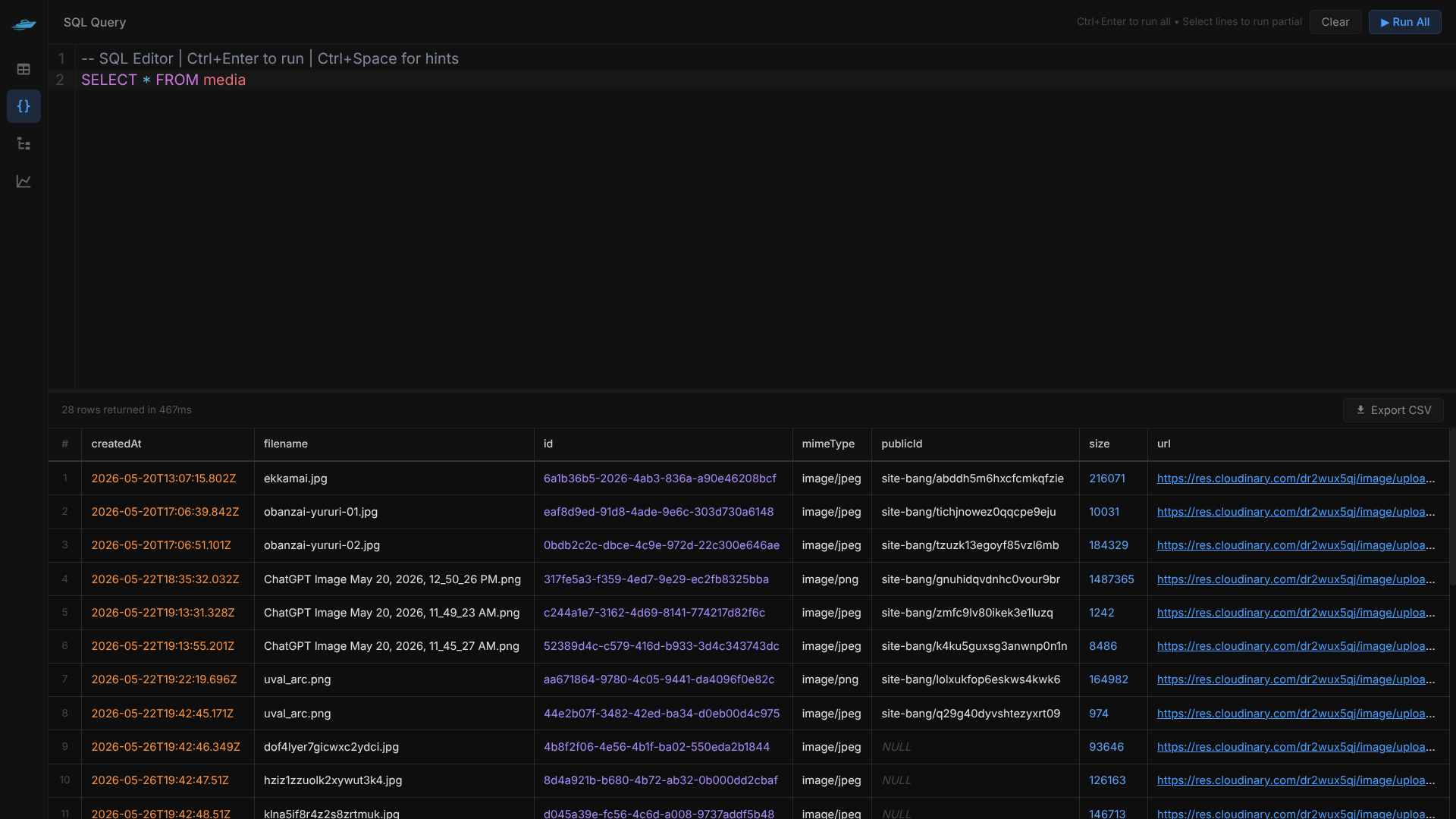 SQL Editor